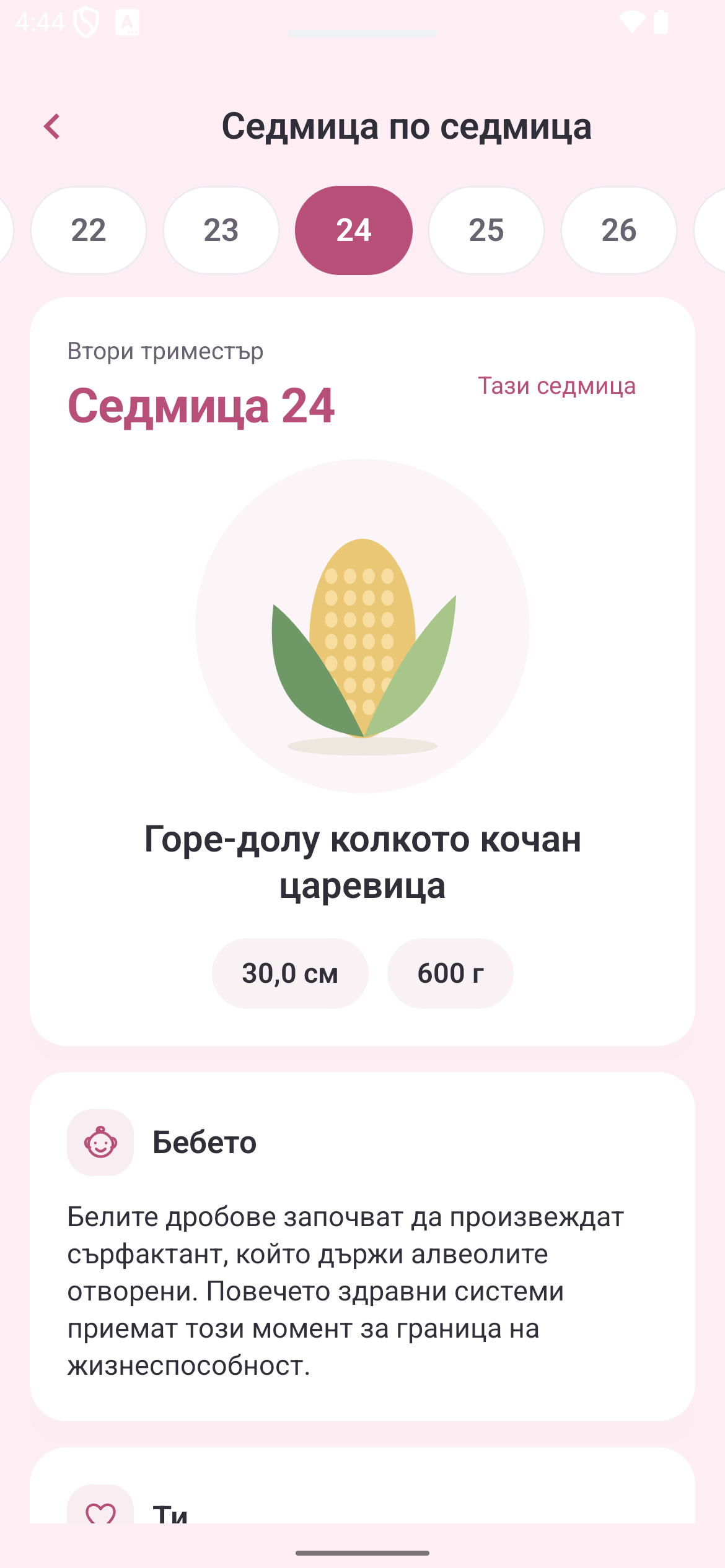 Бременност седмица по седмица: седмица 24, размер и развитие на бебето