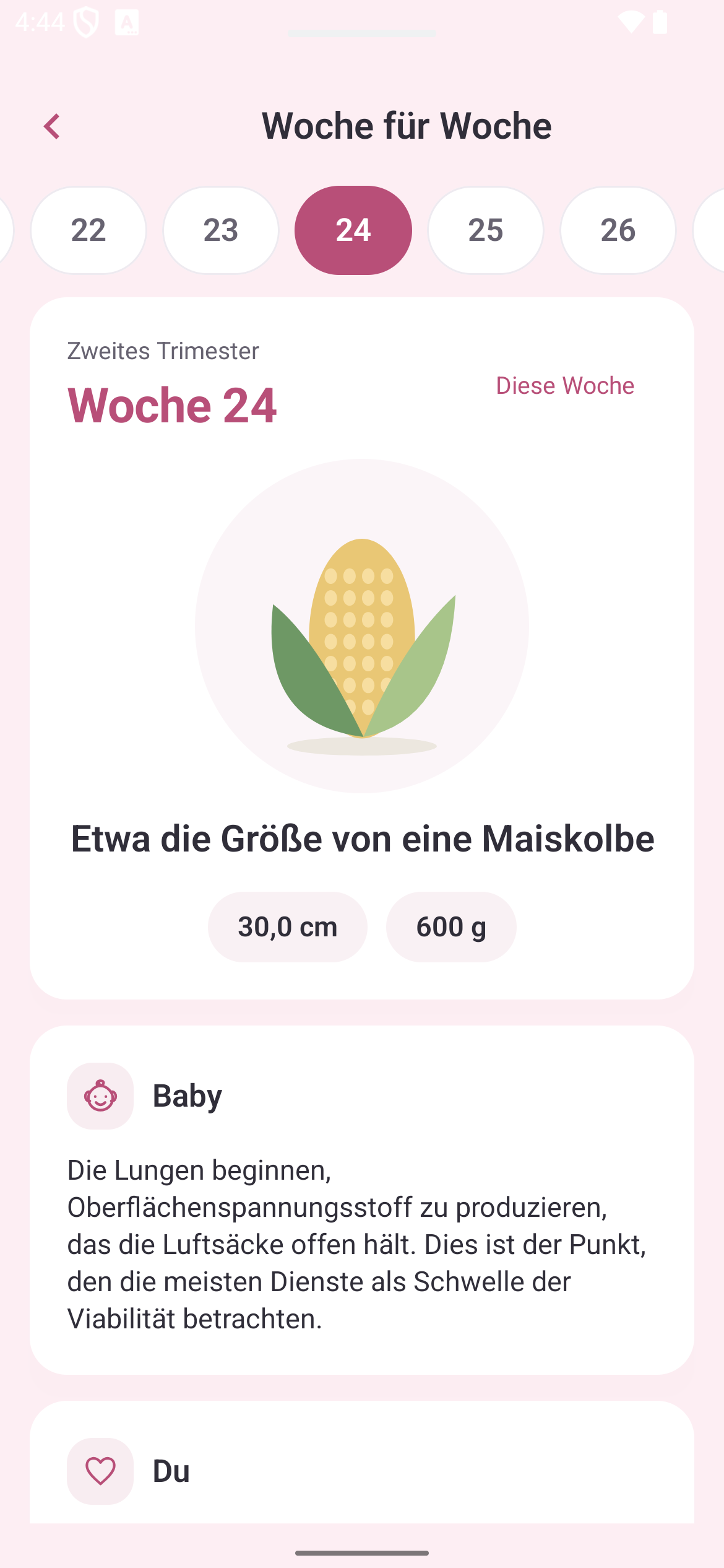 Schwangerschaft Woche für Woche: Woche 24, Größe und Entwicklung des Babys