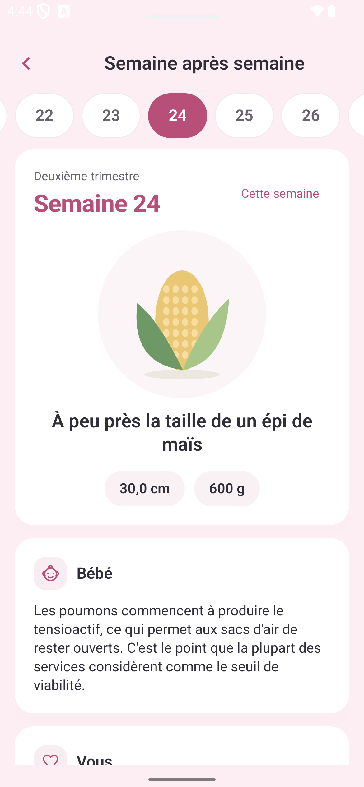 Grossesse semaine après semaine : semaine 24, taille et développement de bébé